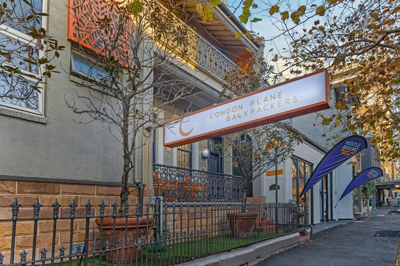 London Plane Backpackers Hostel Sydney Exterior foto